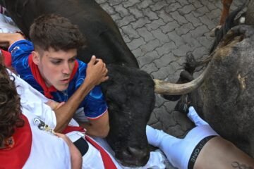 Muy limpio, rapidísimo y anodino encierro de los toros de Miura que cierra los sanfermines