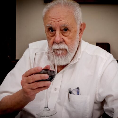 Gonzalo Suárez, Goya de Honor 2026