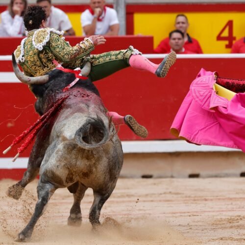 Fuertes emociones ante los muy serios toros de Escolar