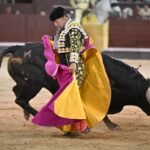 Jubilación a los 55 años y un mínimo de 150 festejos: así es la Seguridad Social de los toreros