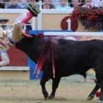 El colombiano Juan de Castilla sufre dos muy graves cornadas en Bayona