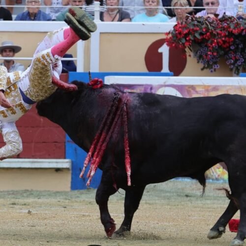 El colombiano Juan de Castilla sufre dos muy graves cornadas en Bayona