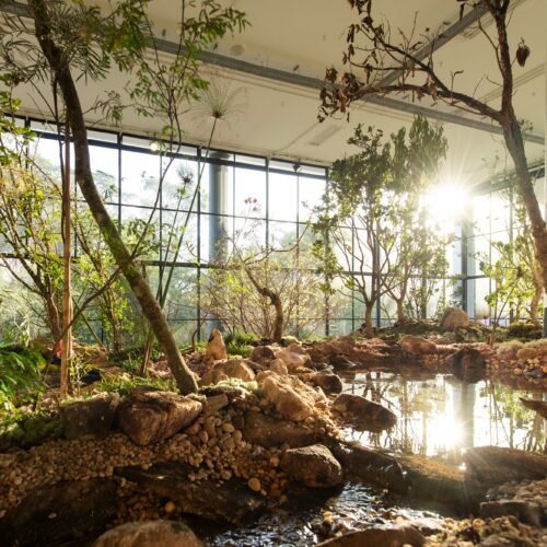 Arte para salvar el mundo: la Bienal de São Paulo apuesta por un nuevo humanismo frente a la deriva global