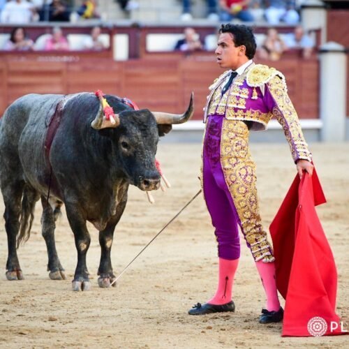 Combate nulo