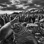 “Si viviéramos miles de años entenderíamos las montañas”: las últimas reflexiones de Sebastião Salgado