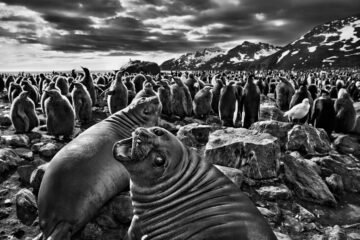 “Si viviéramos miles de años entenderíamos las montañas”: las últimas reflexiones de Sebastião Salgado