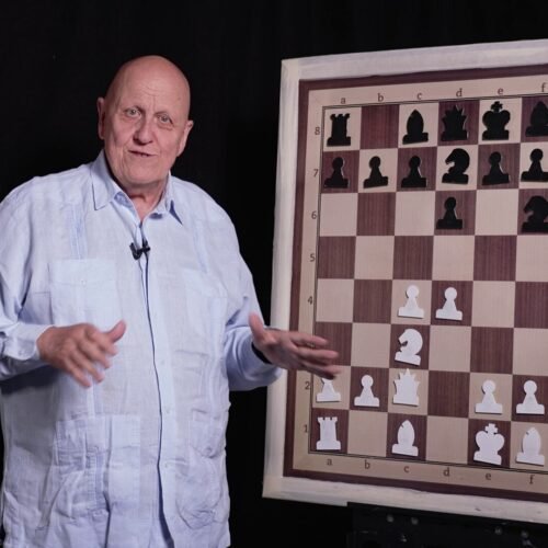 Vídeos de ajedrez | Creatividad castigada con brillo y gran impacto