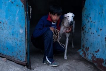 Asiste al preestreno de ‘Ciudad sin sueño’