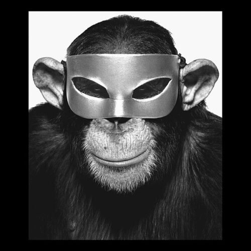 Albert Watson, el fotógrafo de los iconos: «Mi trabajo es un poco como Instagram, nunca sabes qué va aparecer, de una chica en bikini pasas a un mono con una pistola»