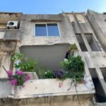 Konvent, centre cultural i jardí lliure