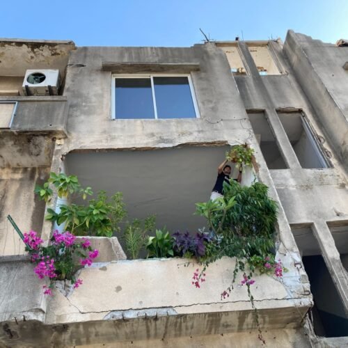 Konvent, centre cultural i jardí lliure