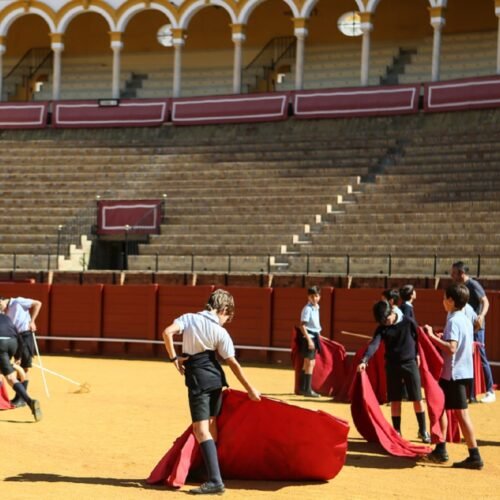 El Ministerio de Juventud e Infancia propone impedir la entrada de menores a los festejos taurinos