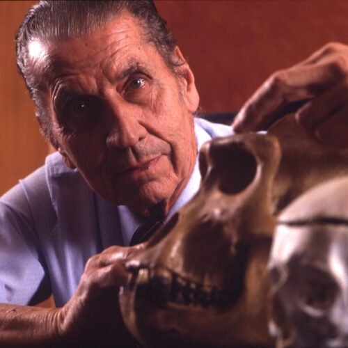 El profesor de Ronda