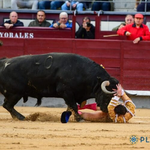 Cuadri, un sonoro fracaso