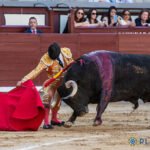 El exceso de cuando el novillo de Las Ventas parece un toro