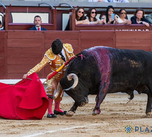 El exceso de cuando el novillo de Las Ventas parece un toro
