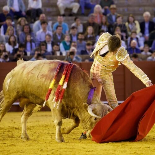 Bondadosas sardinitas
