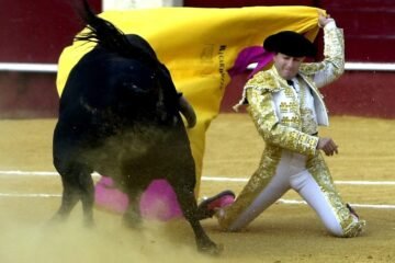 Muere el torero retirado Ricardo Ortiz embestido por un toro en los corrales de la plaza de La Malagueta
