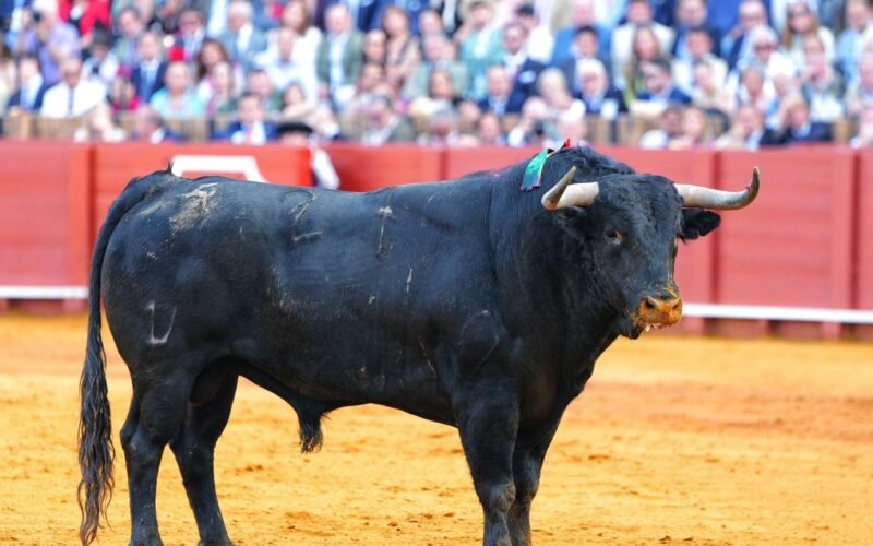 La plaza de La Maestranza padece dos serios problemas: el toro y el palco