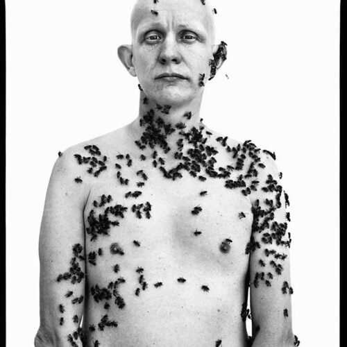 Las imágenes de PHotoEspaña 2026