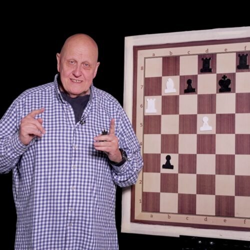 Vídeos de ajedrez | Una delicia de Dimitry Petrov