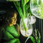El IVAM baja al subsuelo: «Hay un universo desde antes de los humanos y que seguirá cuando nos extingamos»