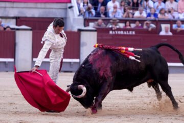 Una buena corrida, mucho corazón y mala cabeza en Las Ventas