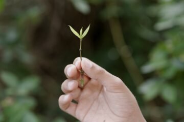 Lúa Coderch lanza un mensaje optimista a las generaciones futuras en el Museo Can Framis
