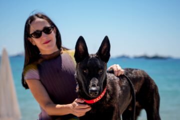 Yuri, la perra chilena de la calle, triunfa en Cannes