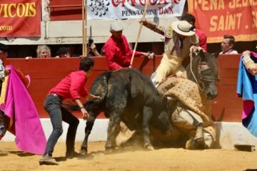 El toro Langosto y el picador Puchano, un emocionantísimo combate