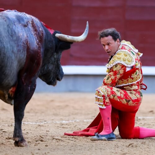 Antonio Ferrera, añeja torería