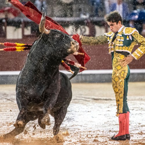 Tarde de héroes en Las Ventas: Víctor Hernández entierra su pureza y el triunfo en el barro con la espada