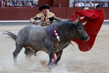 El esfuerzo inaguantable de Damián Castaño