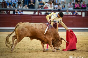 El mexicano Emiliano Osornio, ante su debut en Pamplona: «Es hermoso ver a tanta juventud disfrutando del regalo cultural que es la tauromaquia»
