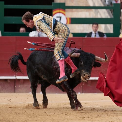 Orejas generosas para Román y Nek Romero en la Feria de Julio de Valencia