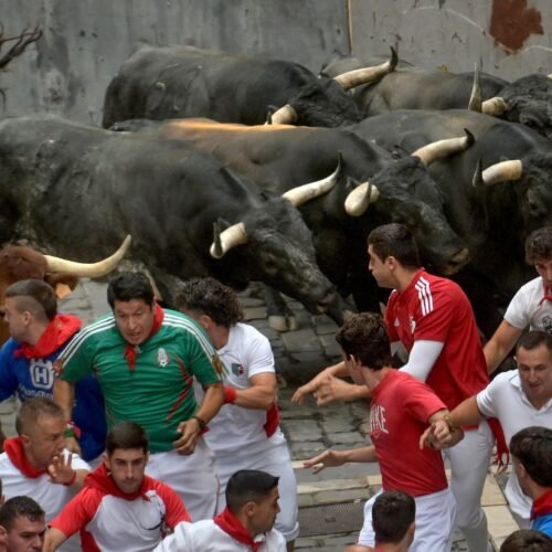Séptimo encierro de San Fermín 2026, en imágenes
