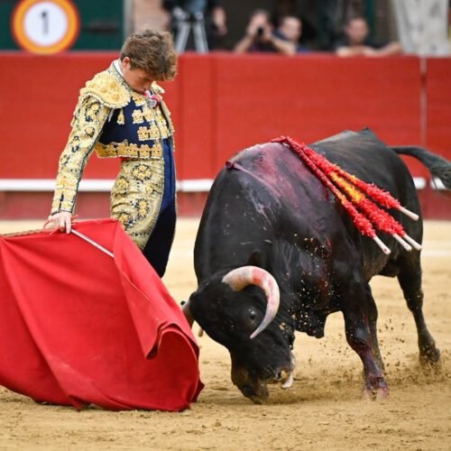 Apagada novillada de Talavante en el cierre de Valencia