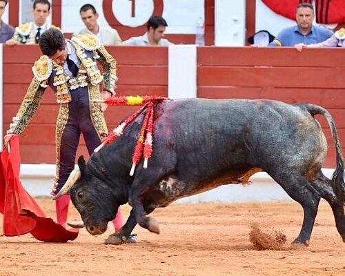 Un gran Álvaro Lorenzo estrena la puerta grande de Gijón