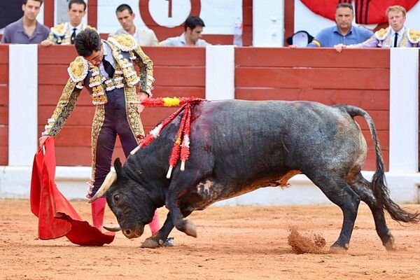 Un gran Álvaro Lorenzo estrena la puerta grande de Gijón