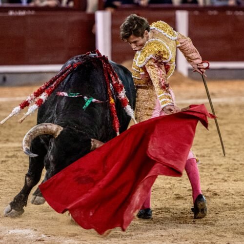 Christian Parejo y la impactante verdad del toreo