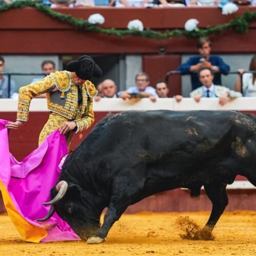 Un toro y un caballo de rejoneo destacan en la segunda de San Sebastián
