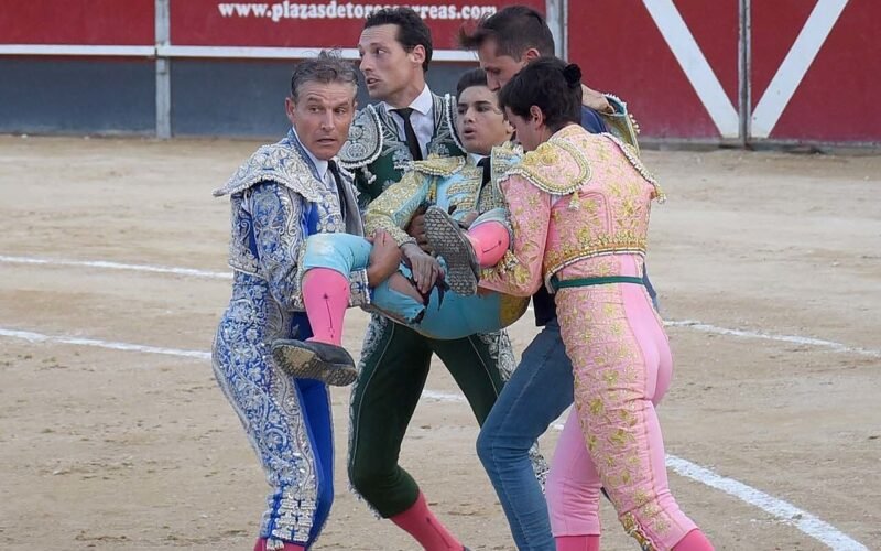 Jornada sangrienta para los novilleros: graves percances en Calasparra y Arganda dejan tres heridos por asta de toro