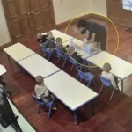 Y usted, ¿por qué tuvo hijos?