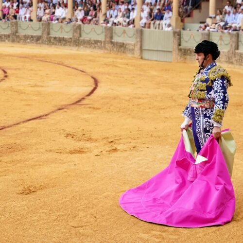 Morante se anuncia dos tardes en la feria del Pilar, la última gran cita de la temporada