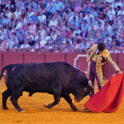 Novillada de lujo, novillada de vergüenza (en Sevilla)
