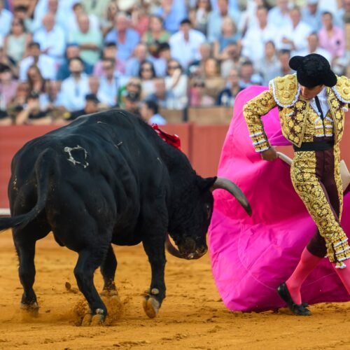 Veteranas e indolentes figuras en La Maestranza