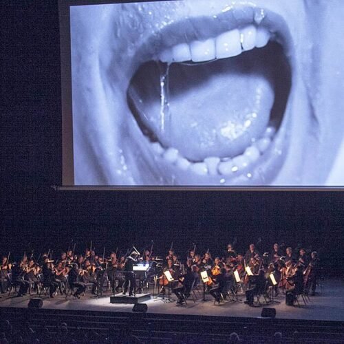 La Orquestra Simfònica del Vallès celebra el 40 aniversario con clásicos y nuevos formatos en el Palau de la Música