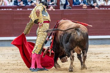 La grandeza de Morante sale intacta entre los saboteadores y la mala suerte en su vuelta a Madrid