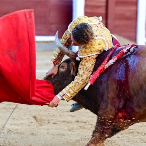 Álvaro Serrano, herido grave en su arriesgada y deslucida encerrona