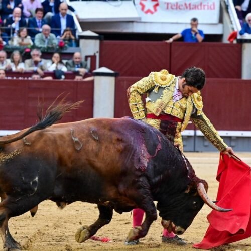 ‘Reapareció’ Morante y el toro dulce y bondadoso espantó la emoción